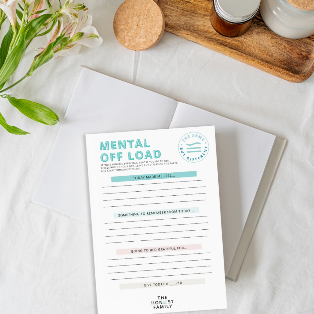 Mental Health & Chronic Bundle - DIGITAL DOWNLOAD - PDF - The Honest Family