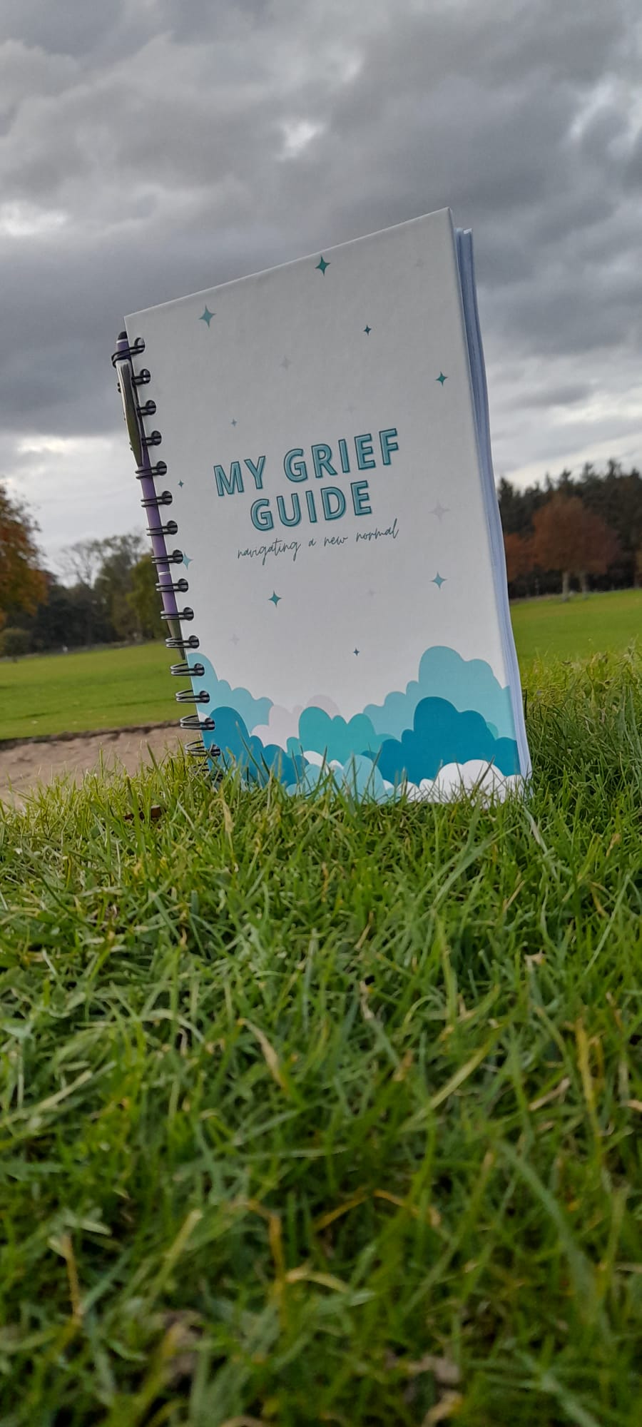 Grief Guide Journal: Navigating the New Normal After Loss by The Honest Family - A Compassionate Companion for Healing and Rediscovery